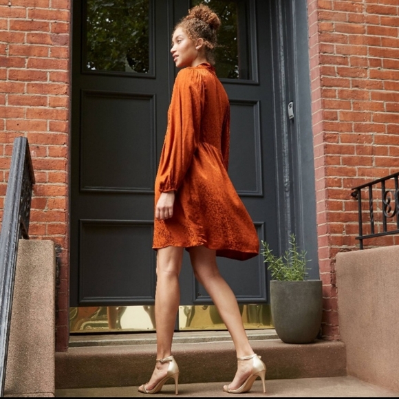 NWT A New Day rust babydoll dress - Picture 2 of 8